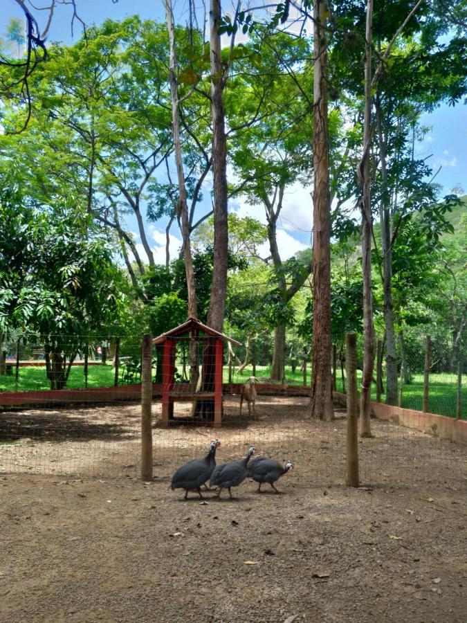 Sarandy Hotel Eco Parque Paraiba do Sul Luaran gambar