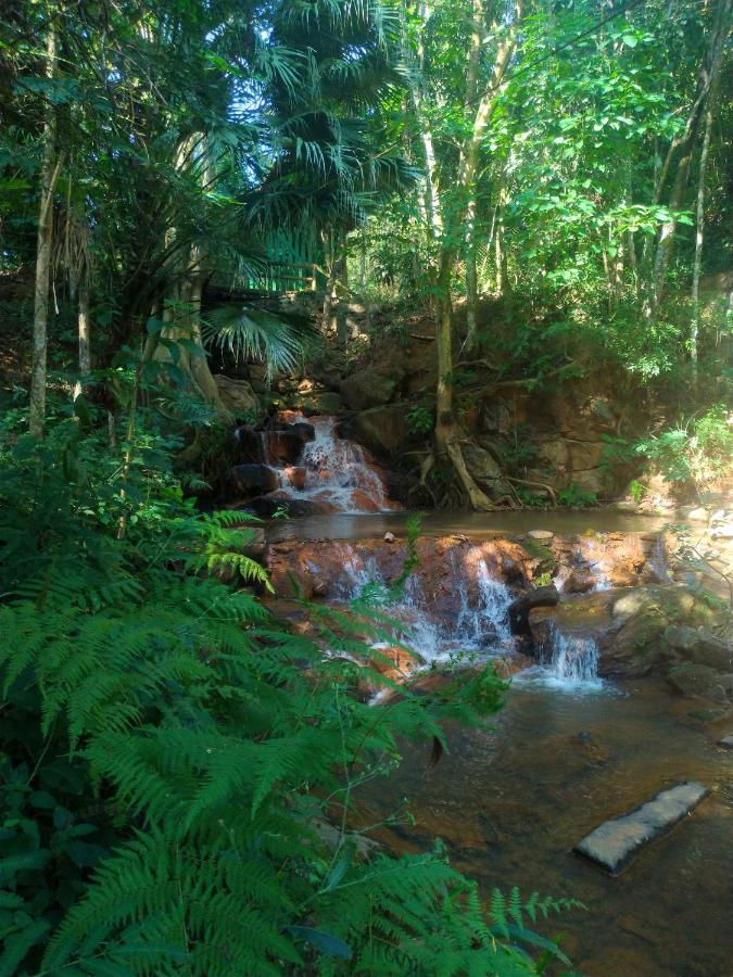 Sarandy Hotel Eco Parque Paraiba do Sul Luaran gambar